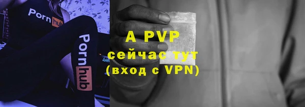 гашик Приозерск