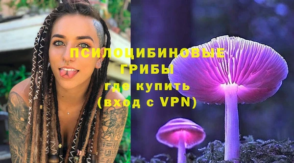 Альфа ПВП Покачи